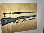 IMG_2337.jpeg