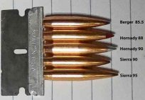 Heavy-224-bullets.jpg
