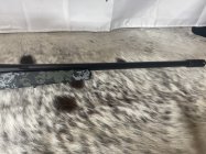 IMG_2524.jpeg
