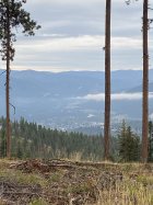 IMG_2095.jpeg