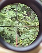 IMG_1453.jpeg