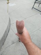 268011.jpeg