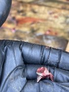 IMG_0876.jpeg
