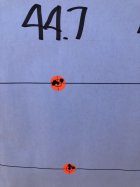 IMG_4635.jpeg