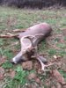 9 pt 1.JPG