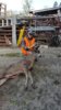 20161120_080126-1494x2656.jpg