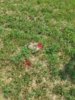 20160805_153550_resized.jpg