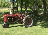 IMG_5369.jpeg