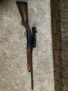 IMG_0388.jpeg
