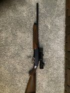 IMG_0389.jpeg IMG_0389.jpeg