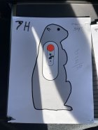 IMG_7351.jpeg