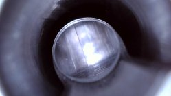 IMG_2130.jpeg