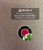 Ballistic-X-Export-2023-08-12 12:46:22.822822.jpg