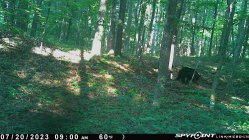 IMG_1552.jpeg