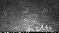 IMG_1529.jpeg