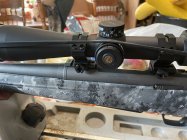 IMG_1475.jpeg