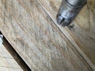 IMG_2389.jpeg
