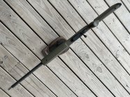 IMG_6228.jpeg