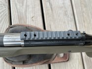 IMG_6229.jpeg