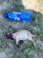 IMG_3314.jpeg