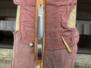 IMG_2397.jpeg