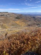 IMG_6174.jpeg