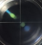 20231016_121705.jpeg