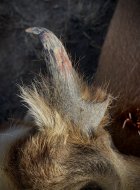 IMG_1896.jpeg