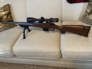 IMG_0706.jpeg
