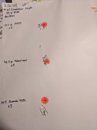 PXL_20231016_033646239.jpg