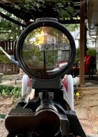 IMG_2839.jpeg IMG_2839.jpeg