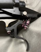 IMG_0717.jpeg