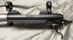 IMG_0719.jpeg
