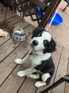 IMG_0659.jpeg