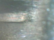 Rem788:2525.JPG Rem788:2525.JPG