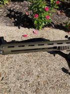 IMG_2441Eliseohandguard.jpg