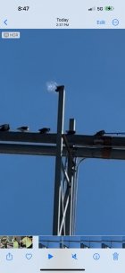 IMG_1029.jpg
