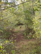 culvert feeder.jpg