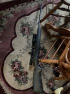 IMG_1737.jpeg
