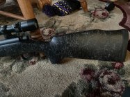 IMG_1742.jpeg