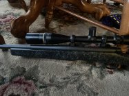 IMG_1743.jpeg