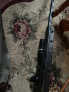IMG_1739.jpeg