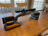 Rifle 01.jpg