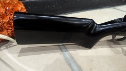 PXL_20231023_224244024.jpg