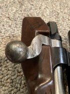 IMG_4653.jpeg