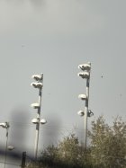 IMG_6247.jpeg