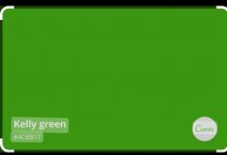 Screenshot_20231024-191342_Chrome.jpg