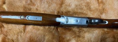 IMG_5788.jpeg
