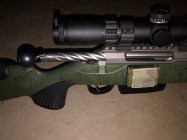 IMG_1873.jpeg