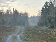 IMG_0926.jpeg